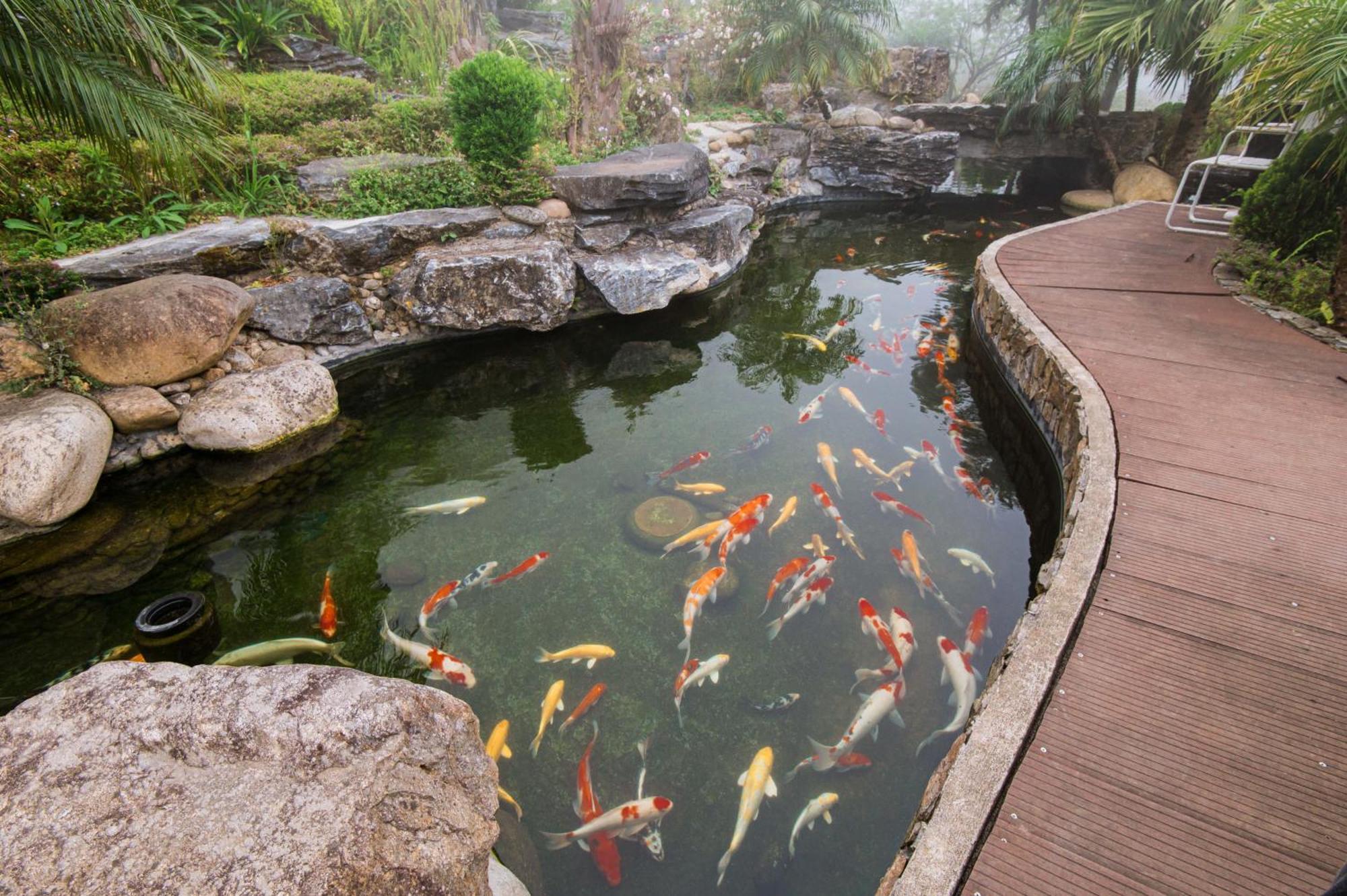 Sapa Catcat Hills Resort & Spa Eksteriør bilde